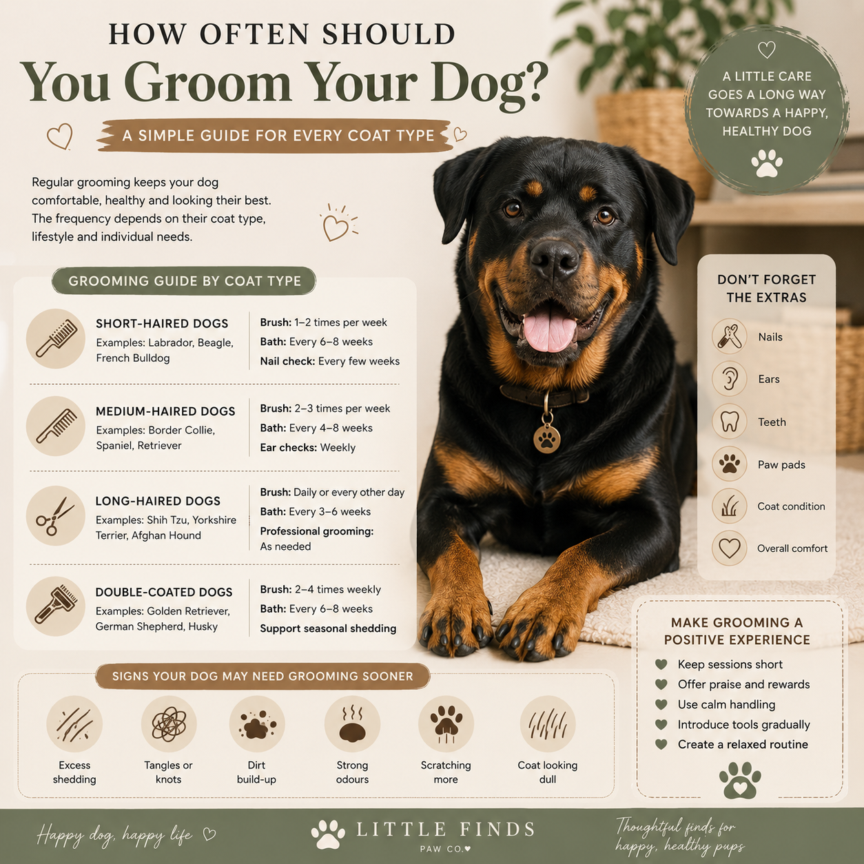 How Often Should You Groom Your Dog? Complete Grooming Guide