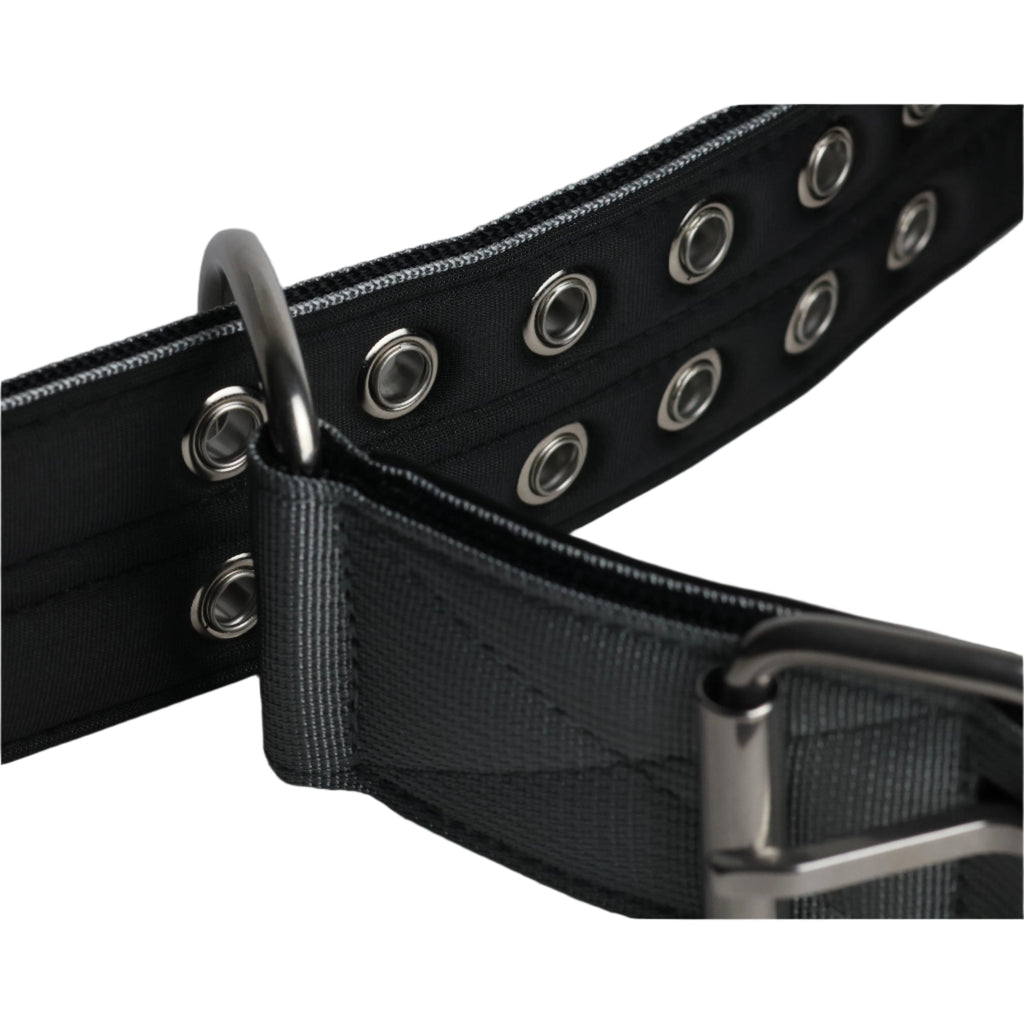 Black inner strap and grey outer sport dog collar with metal grommets