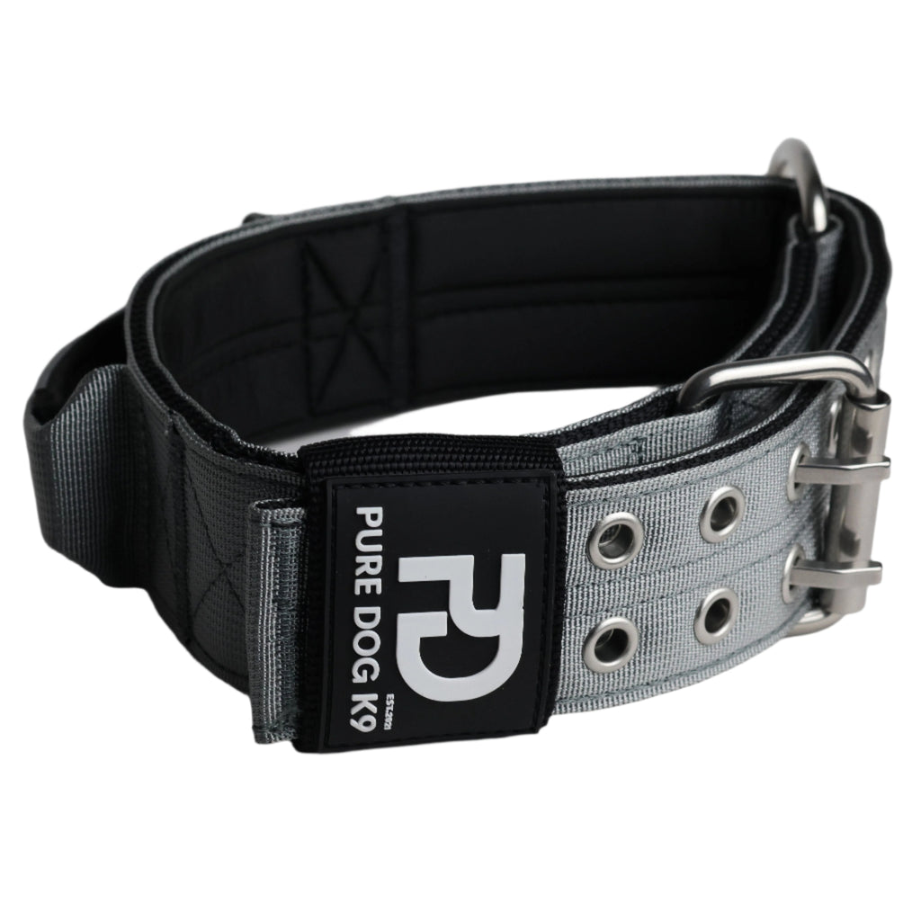Grey sport dog collar with metal buckle, grommet holes, and logo patch