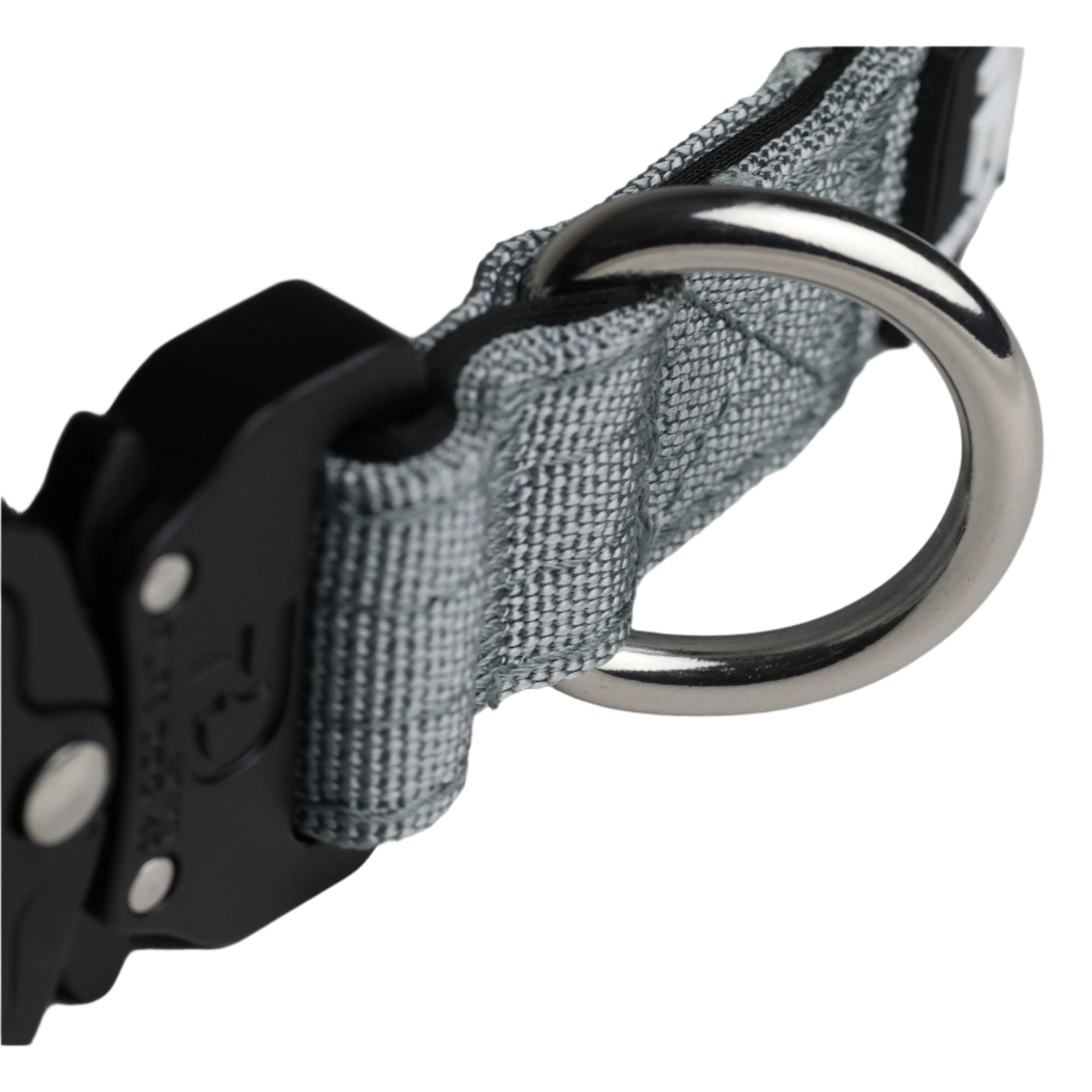 Tactical dog collar with grey woven webbing, black buckle, and metal D-ring