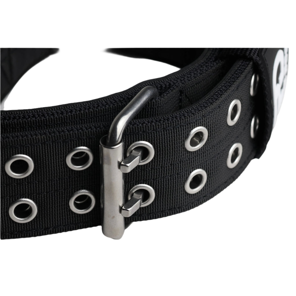 Black sport dog collar close-up of metal buckle and silver oval grommets