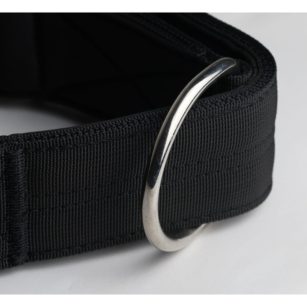 Black sport dog collar with curved metal D-ring and textured woven webbing