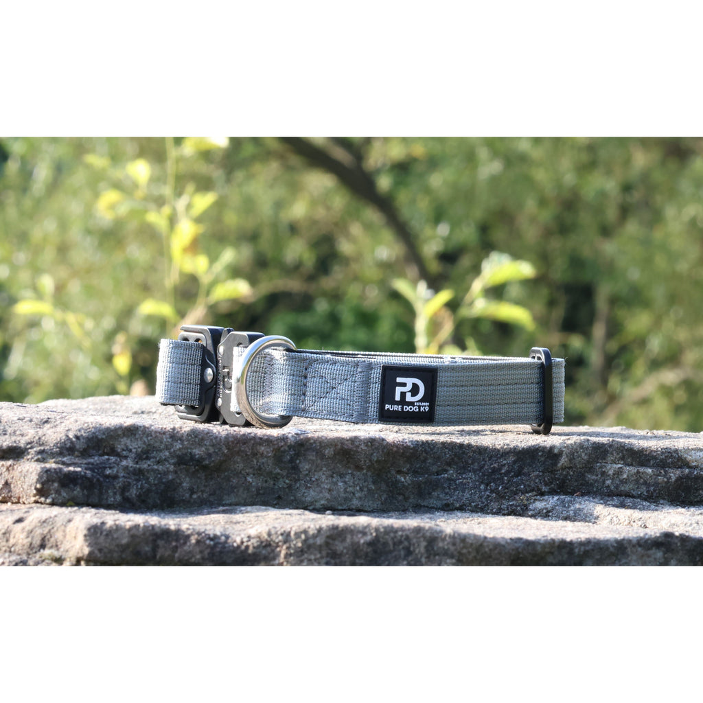 Grey tactical dog collar with black buckle, metal D-ring, and logo patch