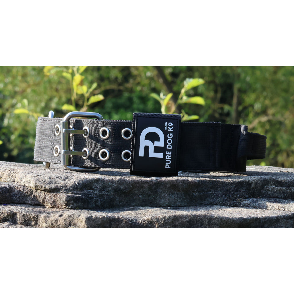 Black sport dog collar with silver grommets and logo patch on the strap