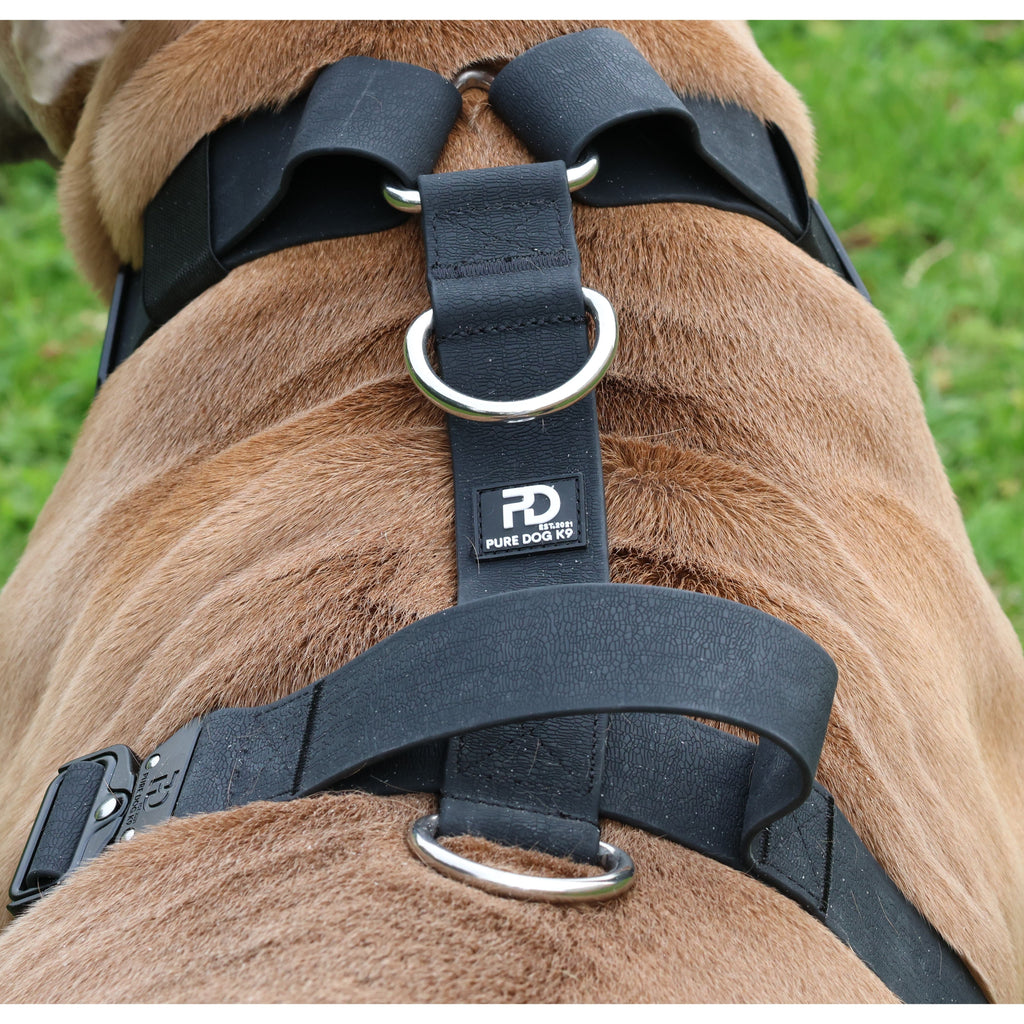 Waterproof dog harness close-up with black straps, silver rings, and center tag