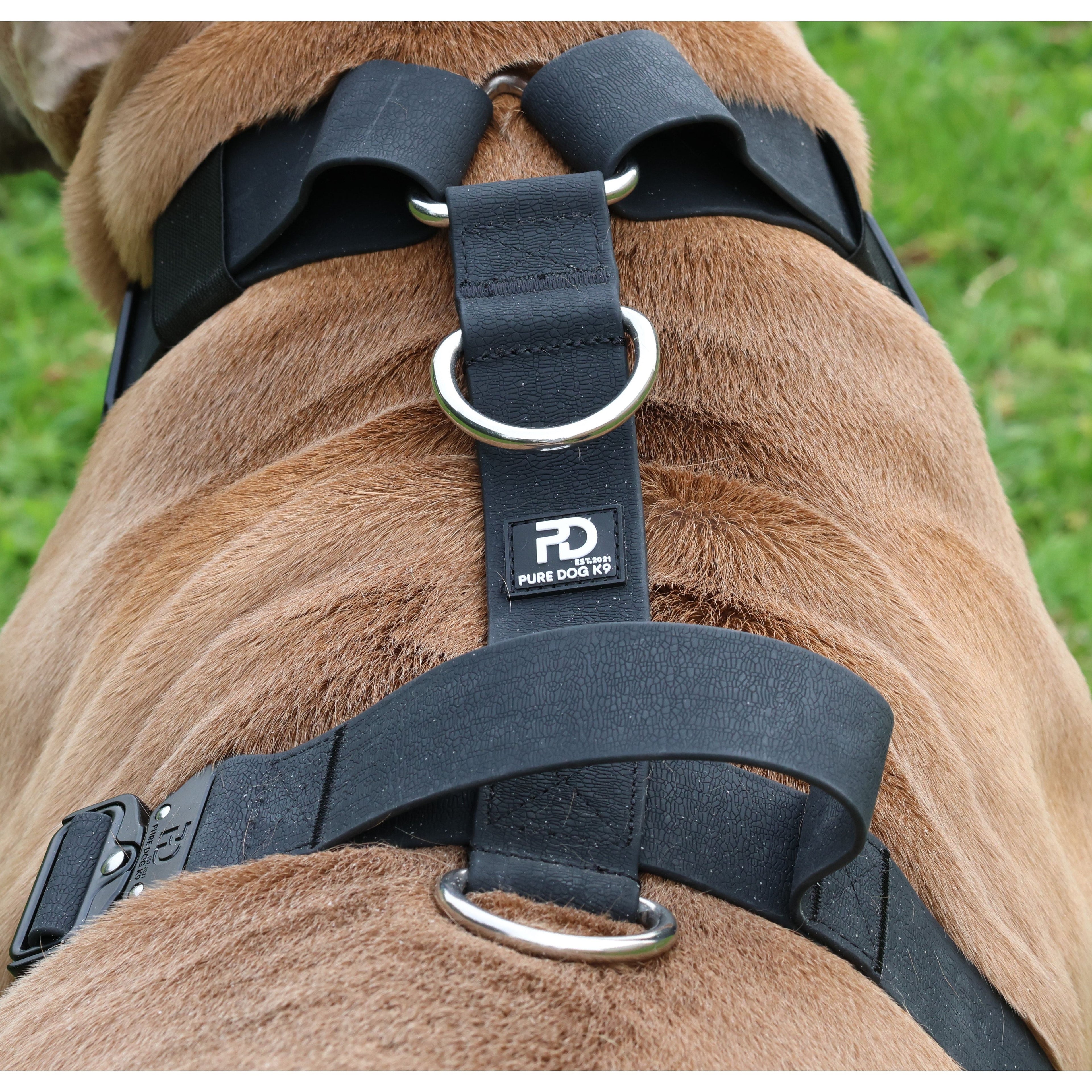 Waterproof dog harness close-up with black straps, silver rings, and center tag