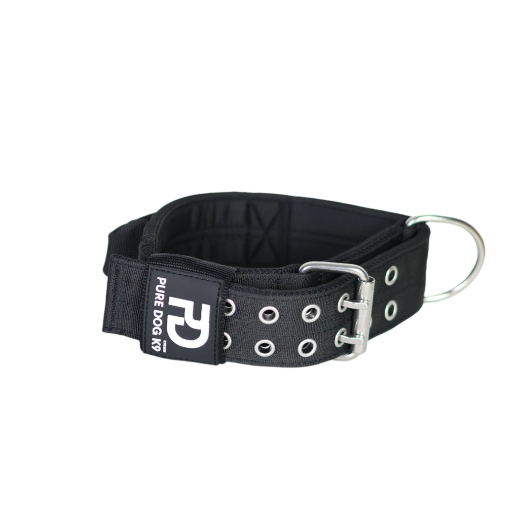 Black sport dog collar with metal D-ring, padded lining, and silver grommets