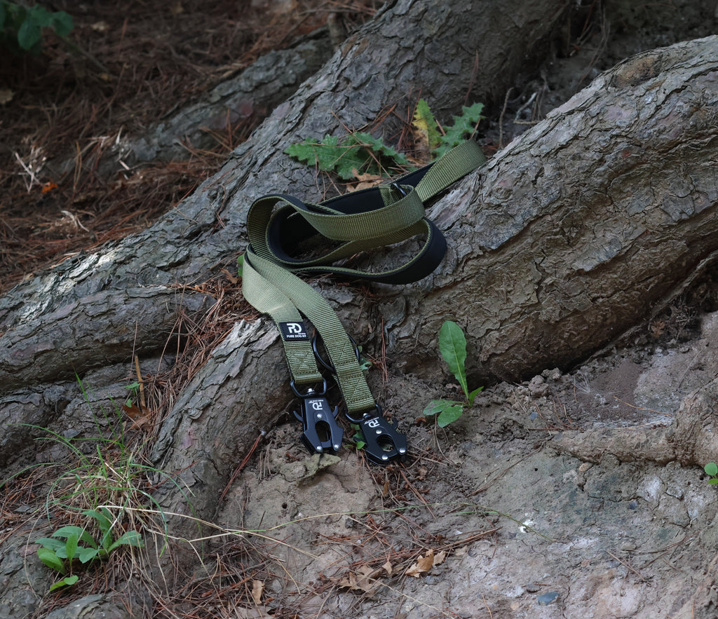 Khaki dog leash with dual clips and adjustable webbing strap