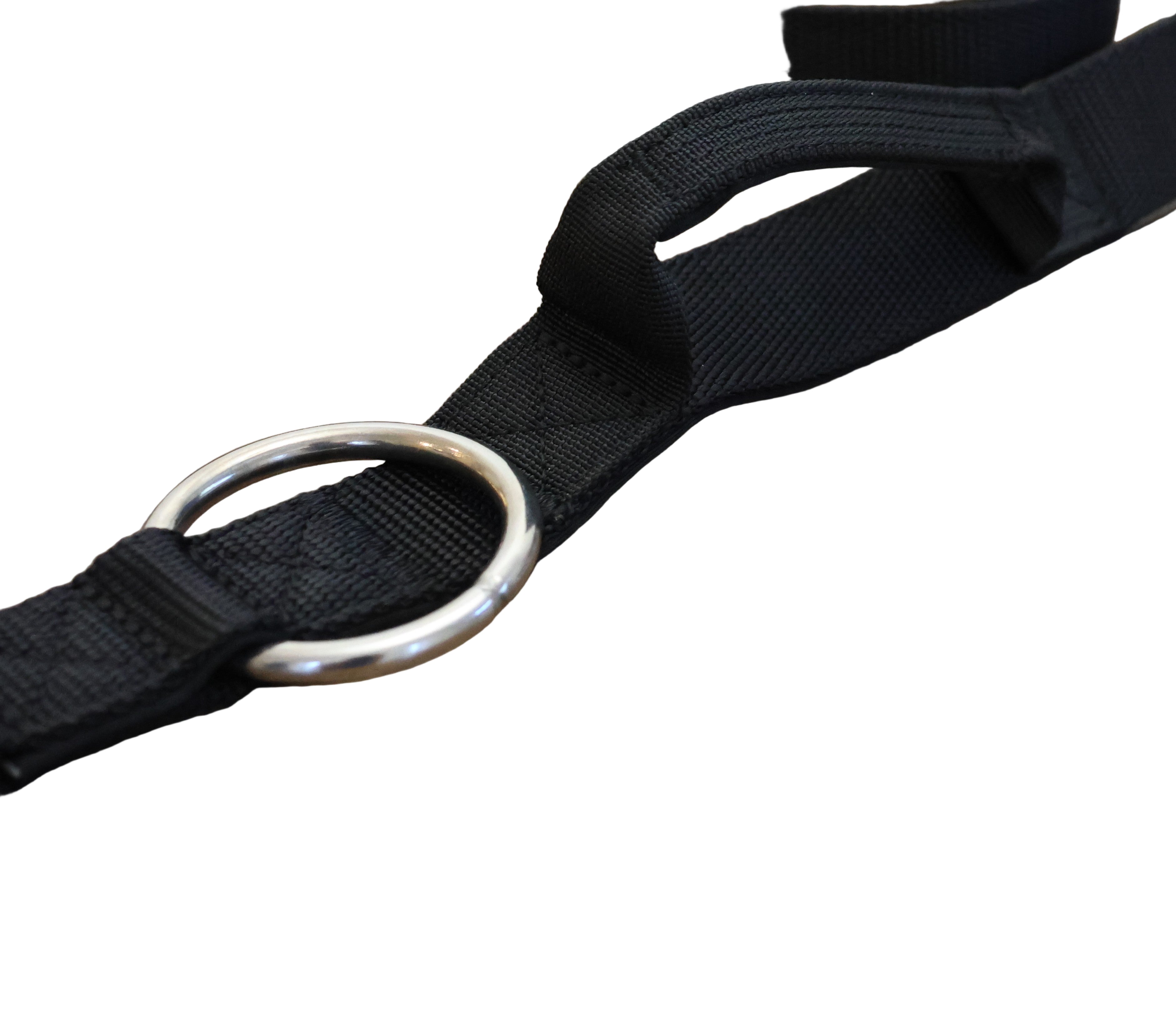 Black webbing dog leash with silver metal ring and clip