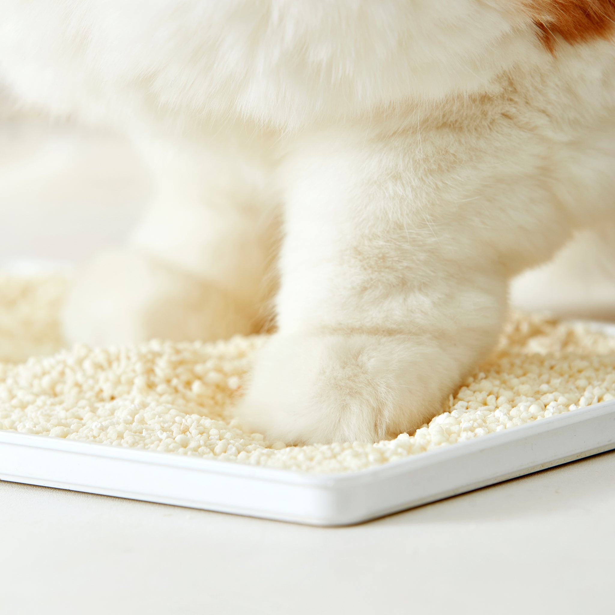 pidan Cassava Cat Litter