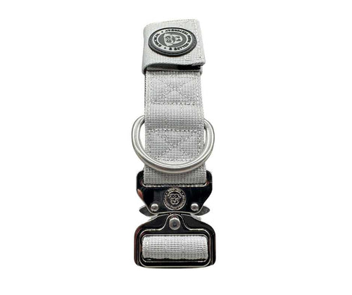 Light gray nylon dog collar with front buckle, stitched tab, and metal O-ring
