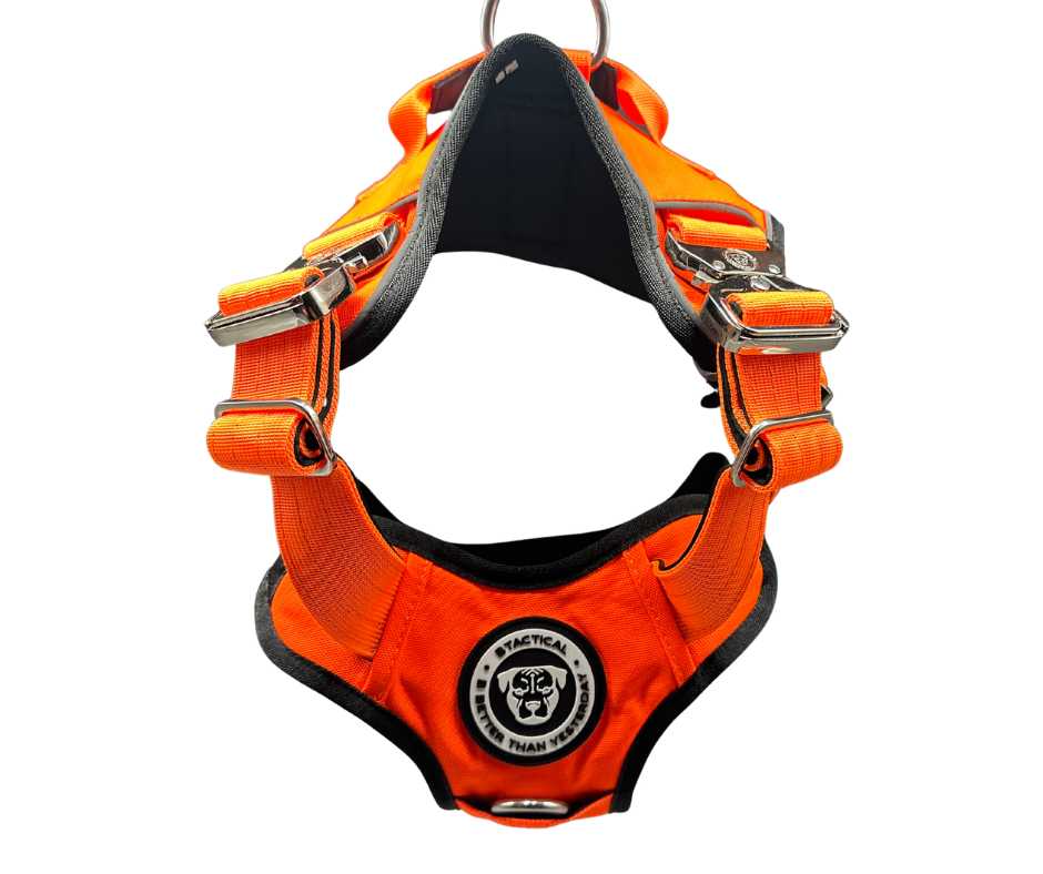 BTactical™ Ultimate No-Pull Dog Harness with GPS Tracker Pocket | Citrus Orange