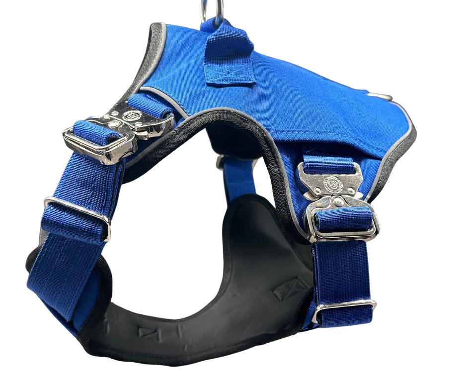 BTactical™ Ultimate No-Pull Dog Harness with Tracker Pocket | Royal Blue