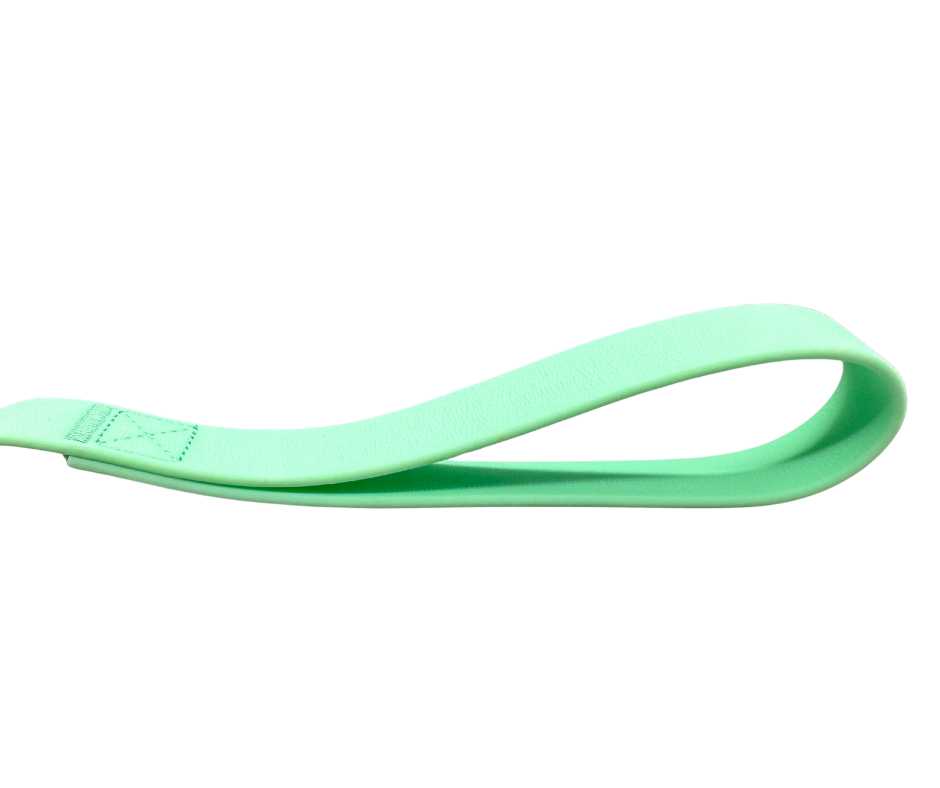 BTactical™ Waterproof PVC Frog Clip Dog Lead | Pastel Green