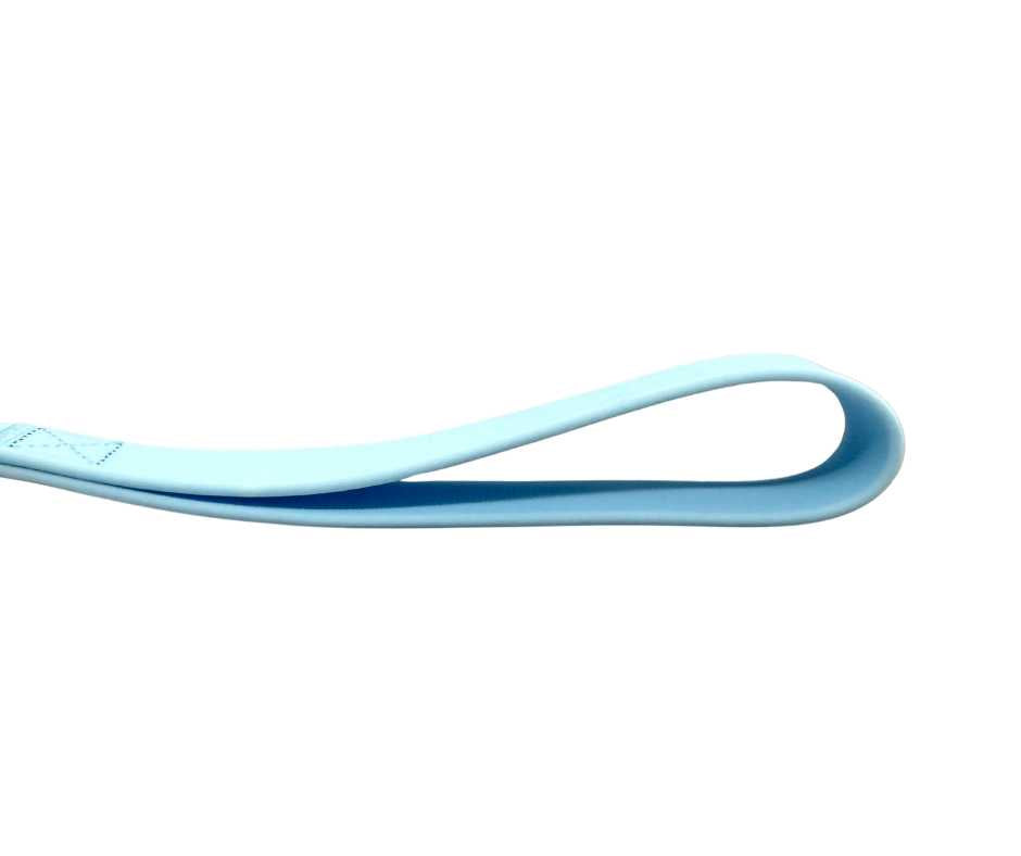 BTactical™ Waterproof PVC Frog Clip Dog Lead | Pastel Blue