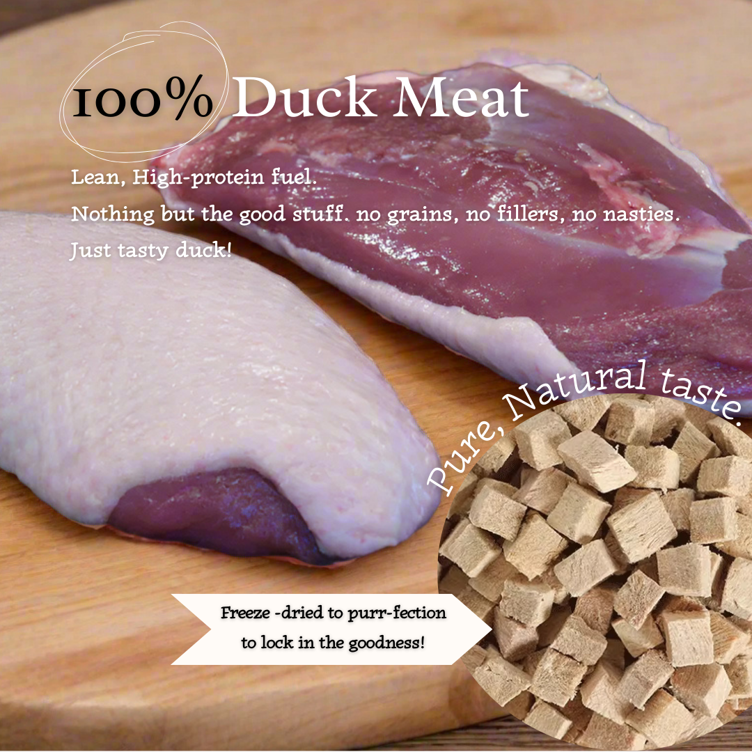 Ducky Delights - 100% Freeze-Dried Duck Treats Novel Protein 40g pack
