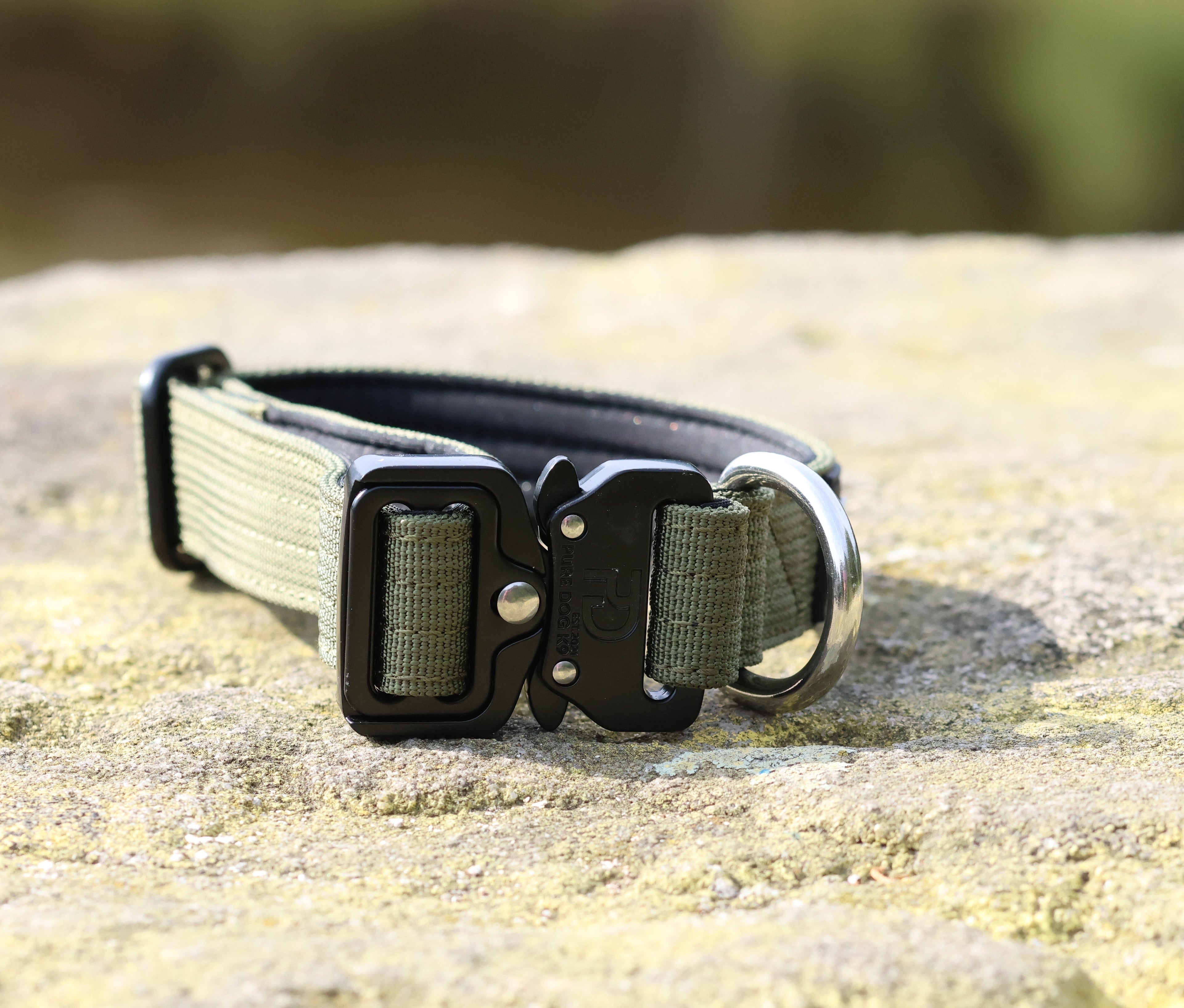 Khaki dog collar close-up with black buckle, rivets, and D-ring