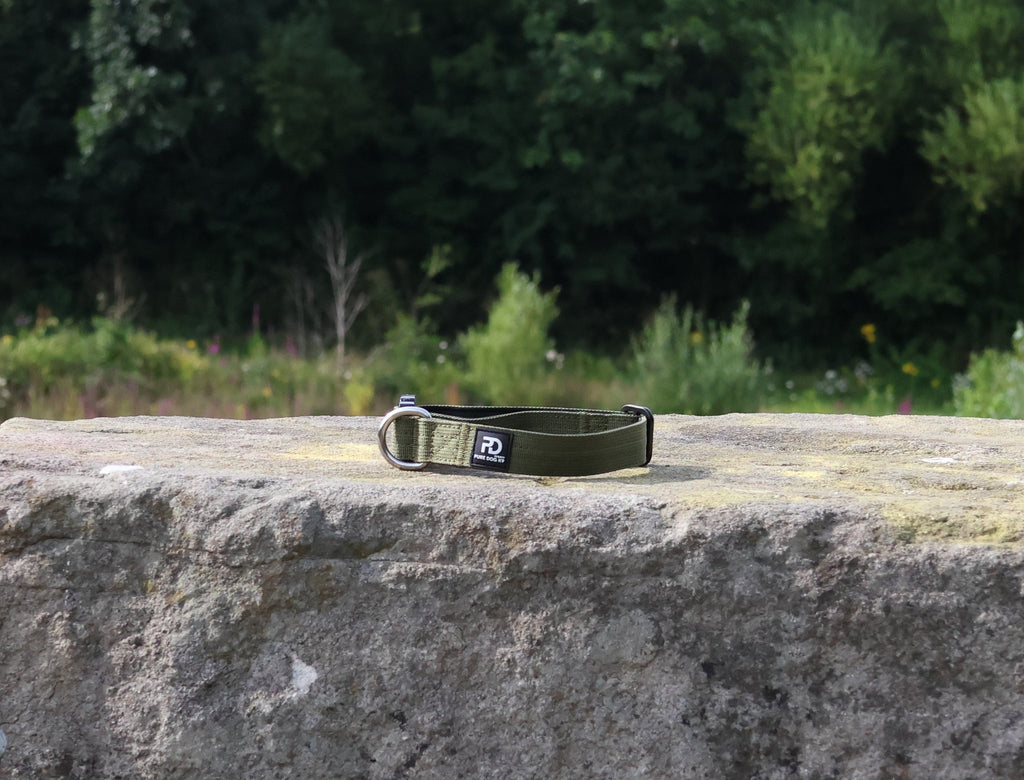 Khaki tactical dog collar with metal buckle and D-ring on flat webbing