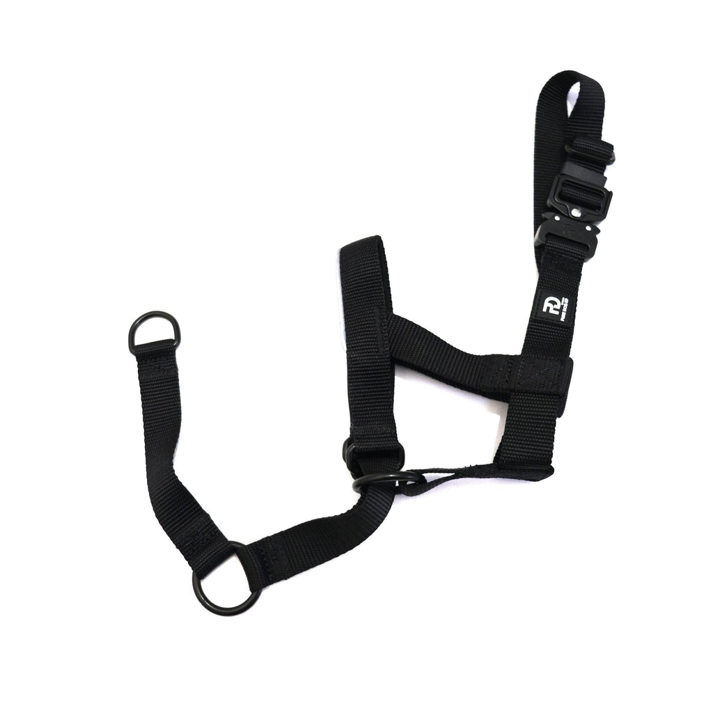 Dark fabric head collar with two adjustment straps and metal buckles