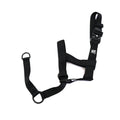 Dark fabric head collar with two adjustment straps and metal buckles