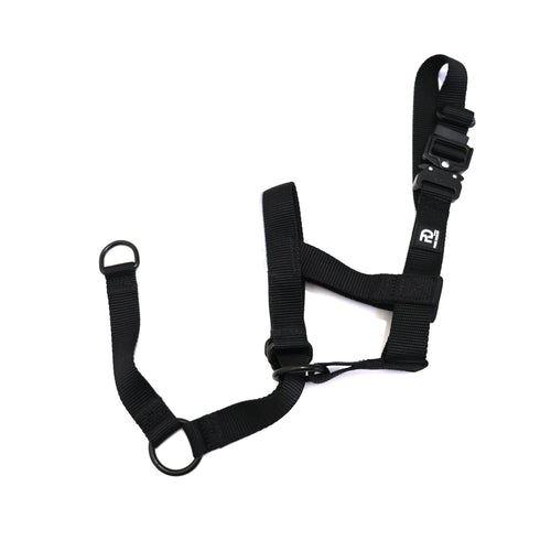 Dark fabric head collar with two adjustment straps and metal buckles