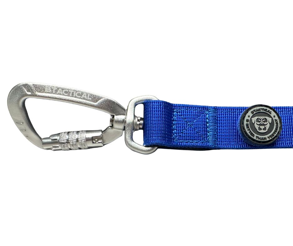 BTactical™ Nylon Carabiner Clip Dog Lead with Padded Handle | Royal Blue