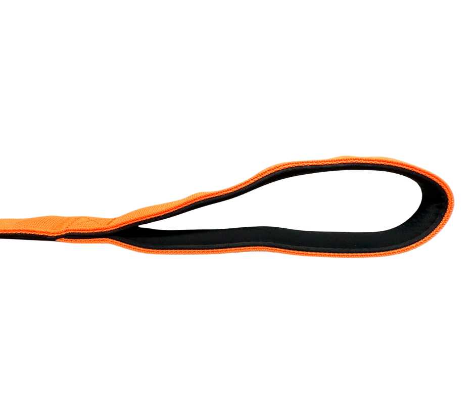 BTactical™ Tactical Nylon Dog Lead with Carabiner Clip | Citrus Orange