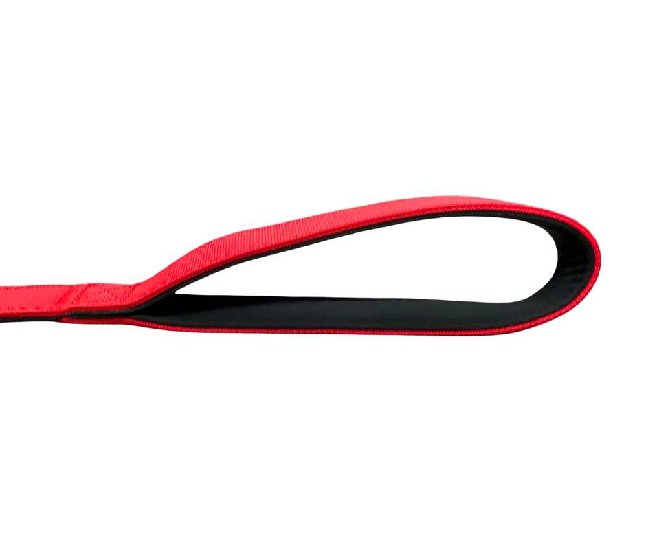 BTactical™ Nylon Carabiner Clip Dog Lead with Neoprene Handle | Citrus Red