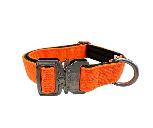 BTactical™ nylon tactical collar, citrus orange with D-ring and clasp hardware