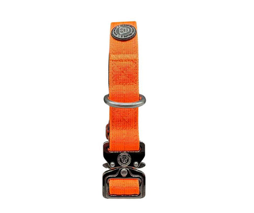 BTactical™ nylon tactical collar, citrus orange strap with top loop and front buckle