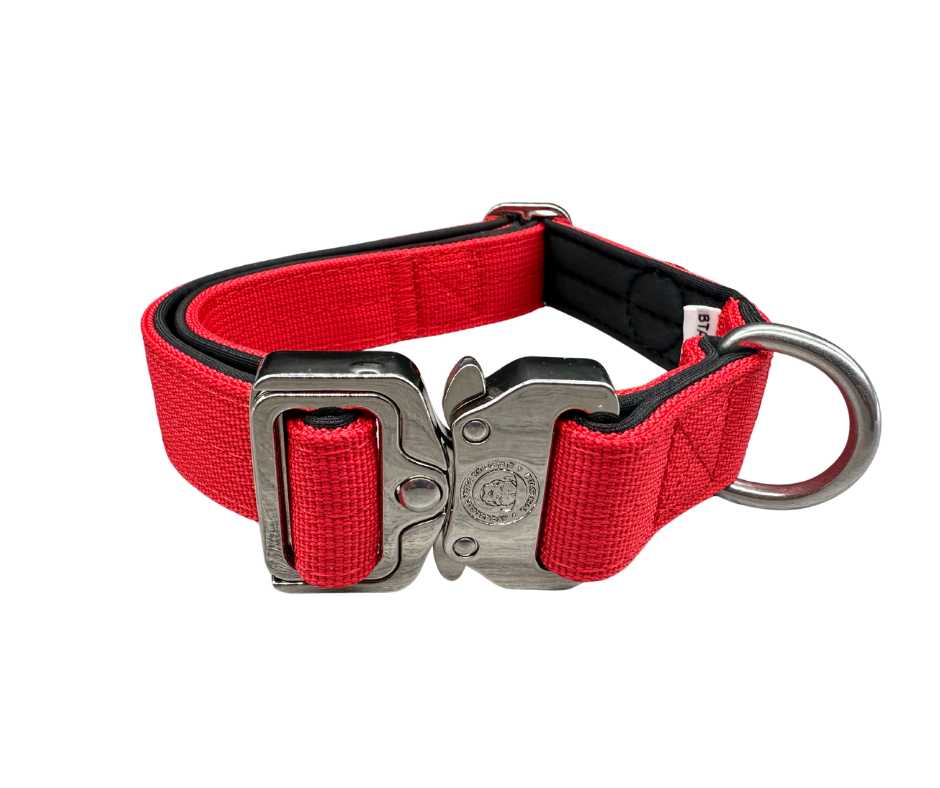 BTactical™ 2.5cm Tactical Dog Collar | Citrus Red