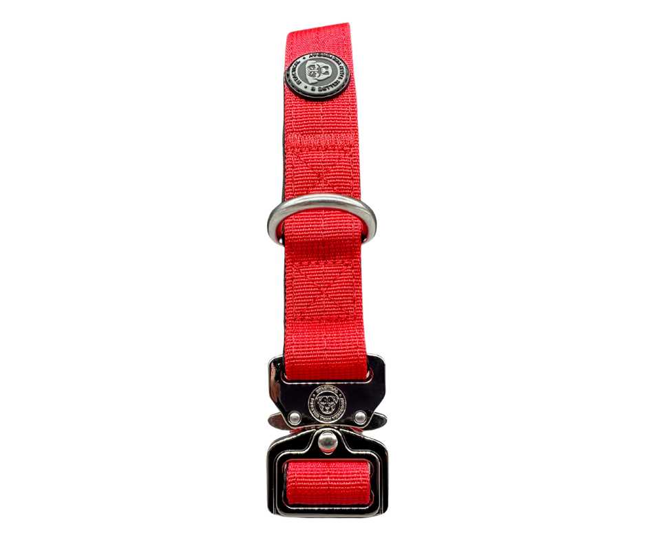 BTactical™ 2.5cm Tactical Dog Collar | Citrus Red