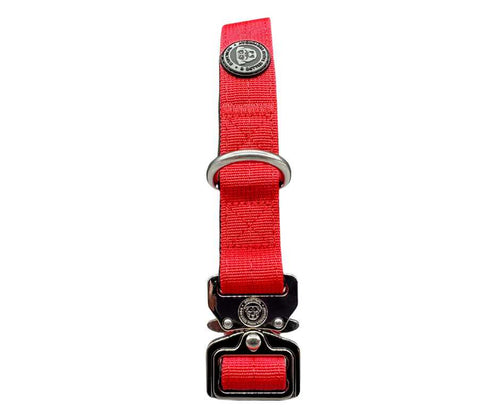 BTactical™ 2.5cm Tactical Dog Collar | Citrus Red