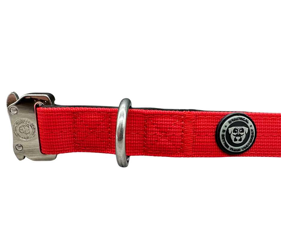 BTactical™ 2.5cm Tactical Dog Collar | Citrus Red
