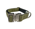 Khaki green dog collar with silver buckle and hardware, neoprene-lined strap