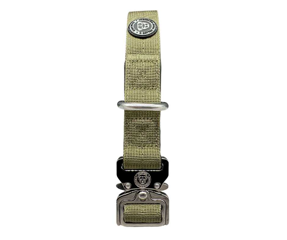 Khaki green adjustable dog collar with metal clasp and round logo patch