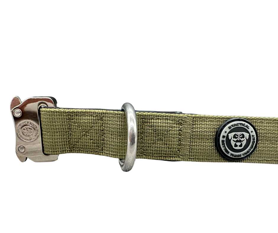 Khaki green dog collar with roller buckle, metal ring, and round logo emblem