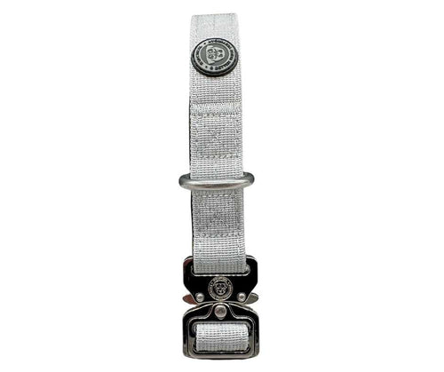 BTactical™ 2.5cm Tactical Dog Collar | Misty Grey