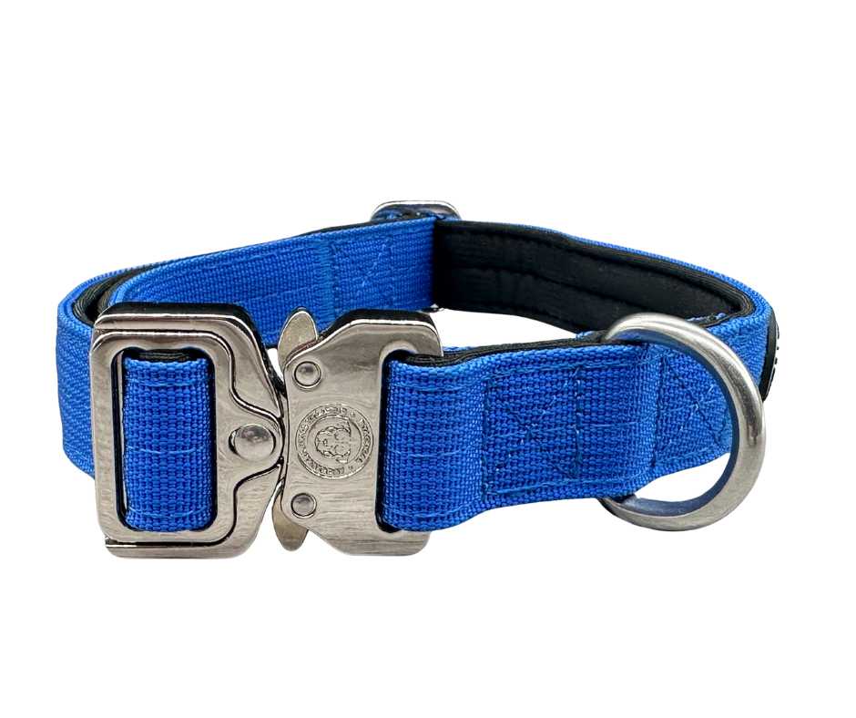 BTactical™ 2.5cm Tactical Dog Collar | Royal Blue