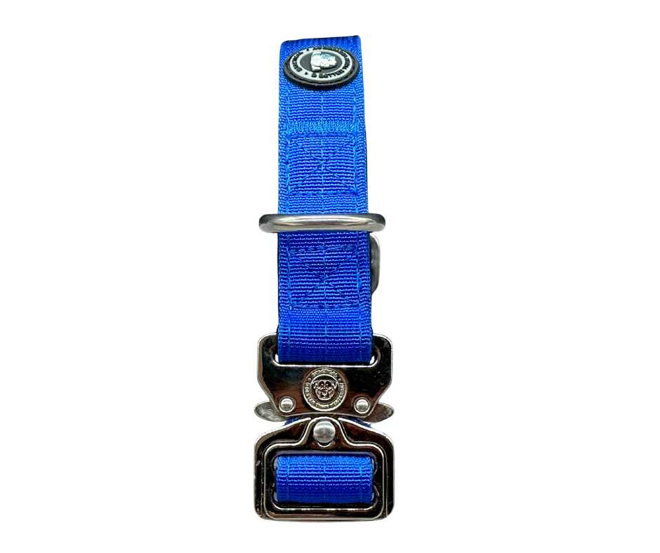 BTactical™ 2.5cm Tactical Dog Collar | Royal Blue