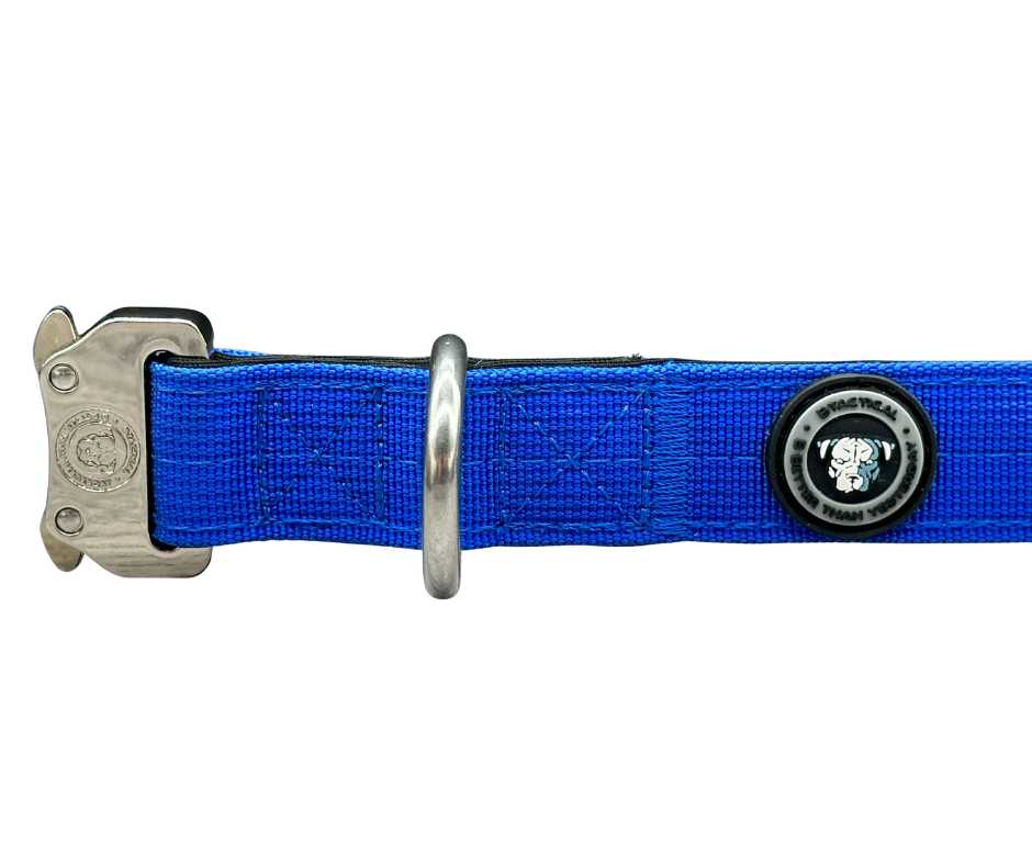 BTactical™ 2.5cm Tactical Dog Collar | Royal Blue