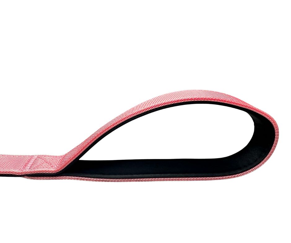 BTactical™ Tactical Nylon Dog Lead with Carabiner Clip | Pretty Pink