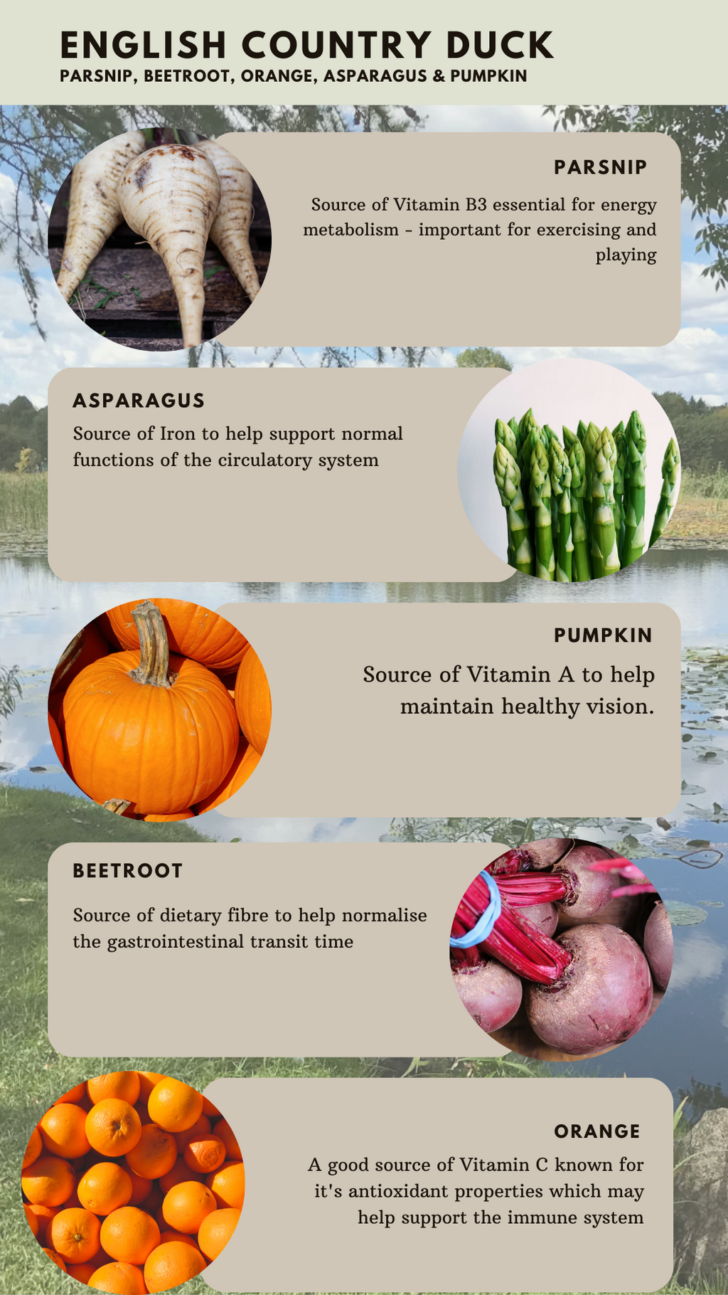 Country Barn Superfood Duck with Parsnip, Beetroot, Orange, Asparagus & Pumpkin | Adult Dog Food