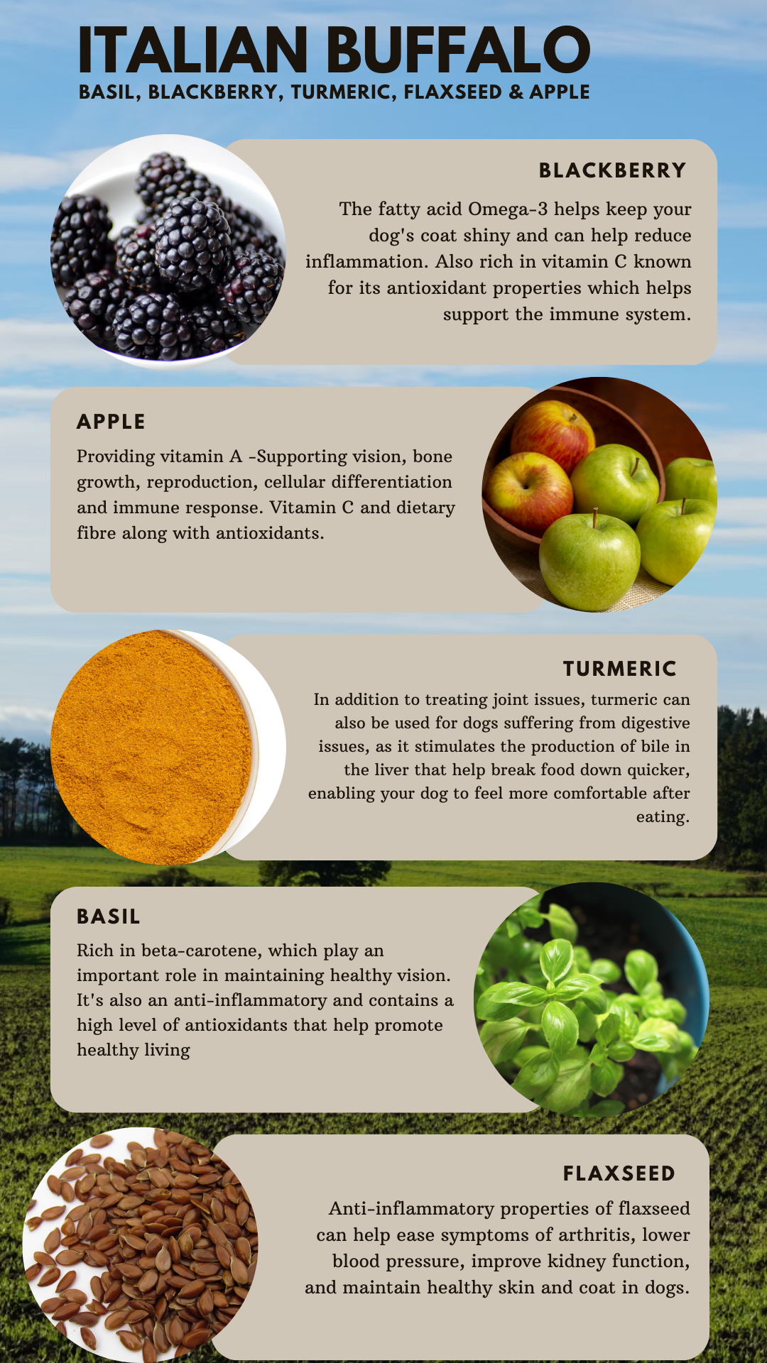 Country Barn Superfood Italian Buffalo with Basil, Blackberry, Turmeric, Flaxseed & Apple | Grain-Free Adult Dog Food