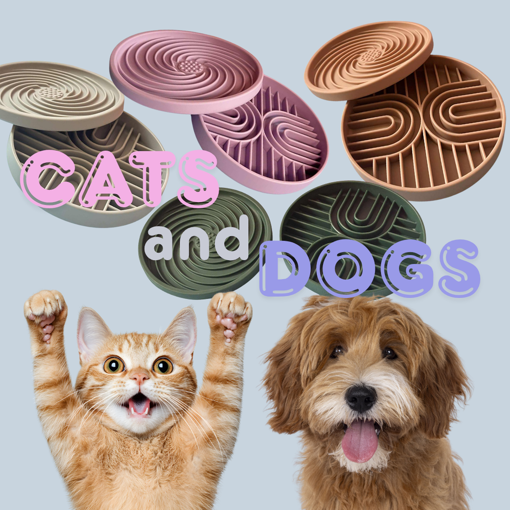 Slow & Steady - 2-in-1 Slow Feeder Bowl & Lick Mat | Calmer Mealtimes