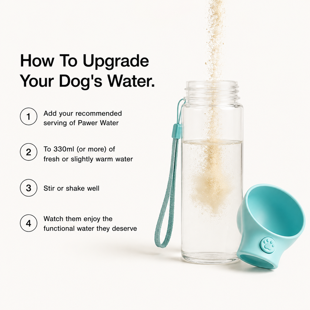 Dog water bottle with teal cup and strap, shown while filling with water.