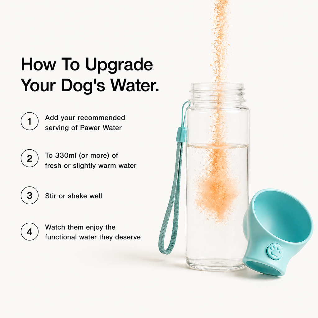 Pawer Water calming dog water bottle with turquoise scoop cup