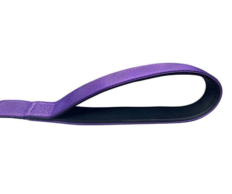 BTactical™ Tactical Nylon Dog Lead with Carabiner Clip | Lavender Purple