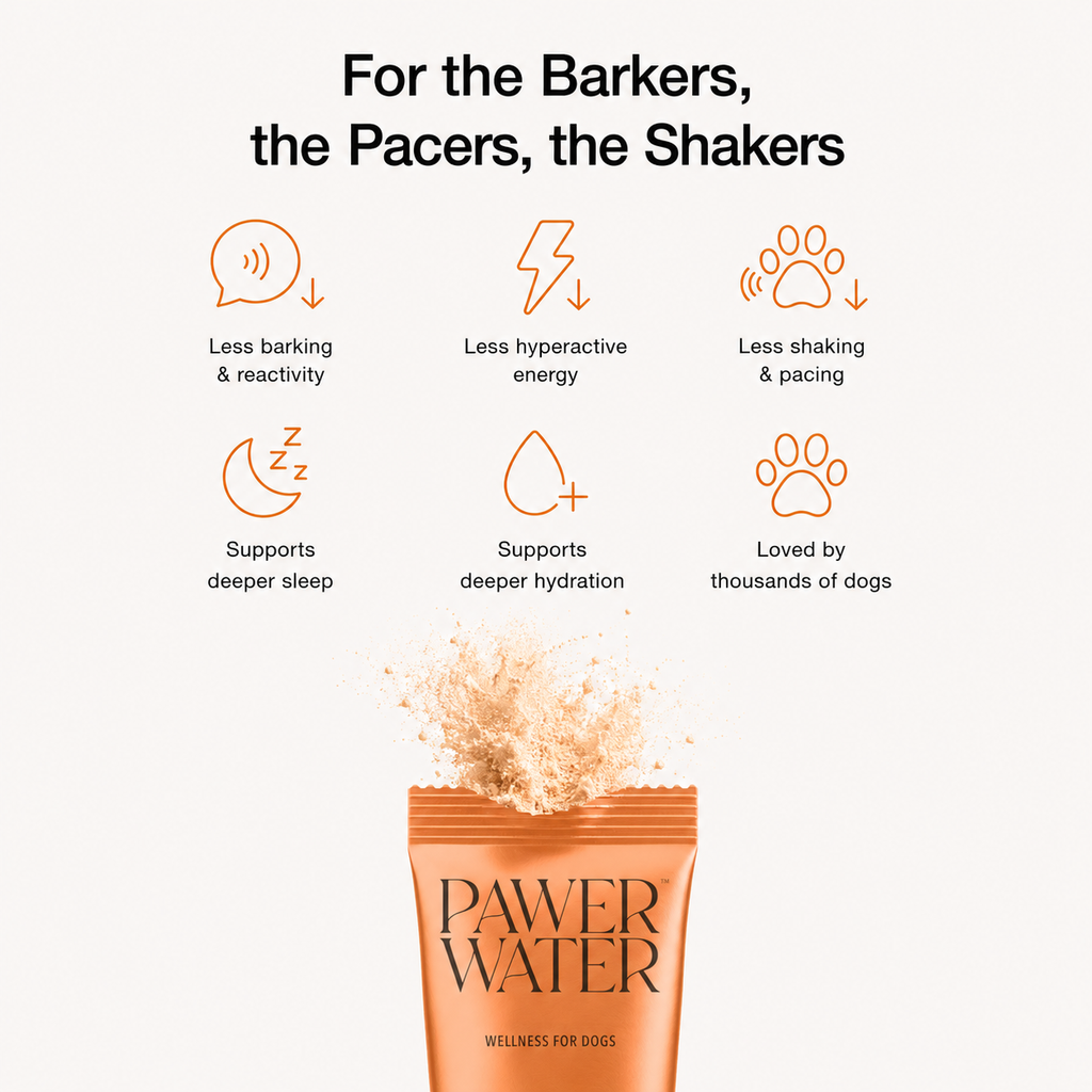 Pawer Water calming dog stick sachet with powder burst graphic