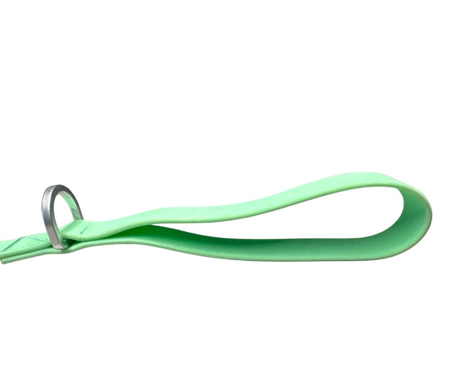BTactical™ Waterproof PVC Dog Lead with Carabiner Clip | Pastel Green